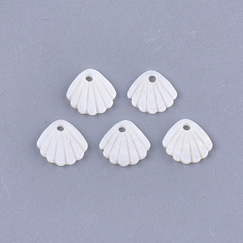 Freshwater Shell Charms, Scallop, Creamy White, 10x11x1.5mm, Hole: 1.5mm