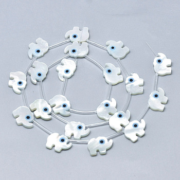 Natural White Shell Mother of Pearl Shell Beads, with Natural Turquoise, Elephant, Deep Sky Blue, 9x12x2mm, Hole: 0.5mm