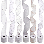 30 Yards 6 Styles Polyester with Plastic Ribbons, Clothes Accessories, Mixed Shapes, 2-1/2 inch(63mm), about 5.00 Yards(4.57m)/Style(OCOR-FH0001-58)