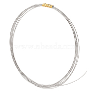 Rhodium Plated Sterling Silver Wire, Round, Half Hard, Platinum, 26 Gauge, 0.4mm, about 6.56 Feet(2m)/Bundle(FIND-WH0127-32A)