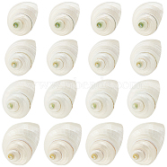 Elite Natural Spiral Shell Beads, No Hole, Antique White, 21~29x21~29x17~25mm, 16pcs/box(SHEL-PH0001-42)