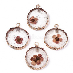 Transparent Clear Epoxy Resin & Dried Flower Pendants, with Edge Light Gold Plated Iron Loops, Flat Round, Rosy Brown, 25~26x20~21x4.5mm, Hole: 1.8mm(RESI-S383-075-D02)