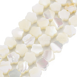 Natural Trochid Shell/Trochus Shell Beads Strands, Flower, White, 7.5x8x3mm, Hole: 0.8mm, about 50pcs/strand, 15.35 inch~15.75 inch(39cm~40cm)(SSHEL-T014-43B-02)