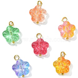 30Pcs 5 Colors Handmade Lampwork Charms, with Golden 304 Stainless Steel Loops, Plum Blossom Flower Charms, Mixed Color, 18x12.5x5mm, Hole: 3mm, 6Pcs/color(PALLOY-CJ0002-66)