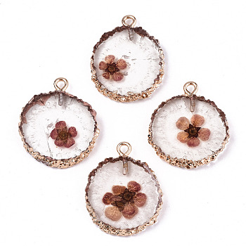 Transparent Clear Epoxy Resin & Dried Flower Pendants, with Edge Light Gold Plated Iron Loops, Flat Round, Rosy Brown, 25~26x20~21x4.5mm, Hole: 1.8mm