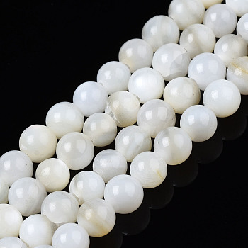Natural Freshwater Shell Beads Strands, Dyed, Round, Ghost White, 2.5mm, Hole: 0.5mm, about 122~136pcs/strand, 14.57 inch~15.63 inch(37cm~39.7cm)