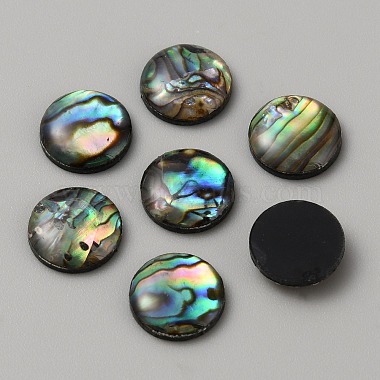 Natural Abalone Shell Cabochons(FIND-WH0420-61C)-1