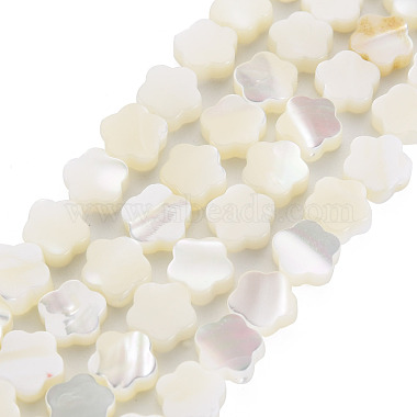 White Flower Trochus Shell Beads