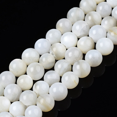 Ghost White Round Freshwater Shell Beads