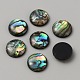 Natural Abalone Shell Cabochons(FIND-WH0420-61C)-1