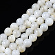 Natural Freshwater Shell Beads Strands(BSHE-T009A-01A)-1