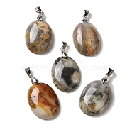 Natural Crazy Agate Pendants, Oval Charms with Rack Plating Platinum Plated Brass Snap on Bails, 30x21.5~22x6~6.5mm, Hole: 6x4mm(G-Z055-03P-05)