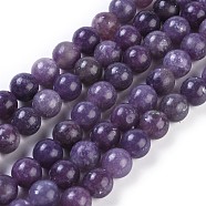 Natural Lepidolite/Purple Mica Stone Beads Strands, Round, 10mm, Hole: 1.2mm, about 38pcs/strand, 15.16 inch(38.5cm)(G-E545-01B)