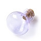 Bouteilles en verre miniatures(GLAA-H019-03B)-2
