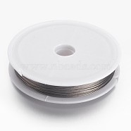 Tiger Tail Wire, Nylon-coated Stainless Steel, Original Color(Raw) Wire, Raw, 0.45mm, about 164.04 Feet(50m)/roll(L0.45mm01)