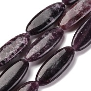 Natural Lepidolite Beads Strands, Flat Oval, 29~30x12x5.5mm, Hole: 0.7mm, about 13pcs/strand, 14.96''(38cm)(G-B078-E08-01)