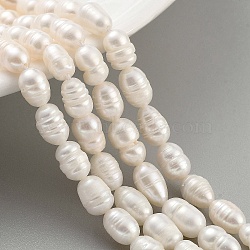 Natural Cultured Freshwater Pearl Beads Strands, Rice, Grade A+, White, 5~5.5mm, Hole: 0.6mm, about 27pcs/strand, 6.89''(17.5cm)(PEAR-P062-09A)