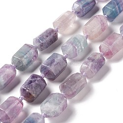 Natural Fluorite Beads Strands, Faceted, Column, 23.5~25x15~18x13~15.5mm, Hole: 1.6mm, about 15pcs/strand, 15.75~16.54 inch(40~42cm)(G-F719-01)
