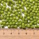 Baking Paint Glass Seed Beads(X1-SEED-A032-02A-07)-4