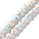 Handmade Lampwork Beads Strands(LAMP-D015-11C)-1