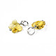 Faceted Transparent Glass Charms(GLAA-T024-06L)-3