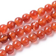 Natural Agate Beads Strands, Dyed, Round, Orange Red, 8mm, Hole: 1.4mm, about 50pcs/strand, 15.75 inch(40cm)(G-I261-B04-8mm)