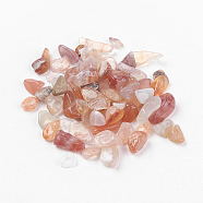 Natural Carnelian Beads, No Hole/Undrilled, Chips, Dyed, 5~8x2~5mm, about 50g/bag(G-J370-02)