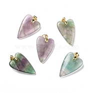 Natural Fluorite Pendants, with Rack Plating Golden Plated Brass Findings, Long-Lasting Plated, Heart, 32~34x20x8mm, Hole: 4x4mm(G-E570-01G-01)