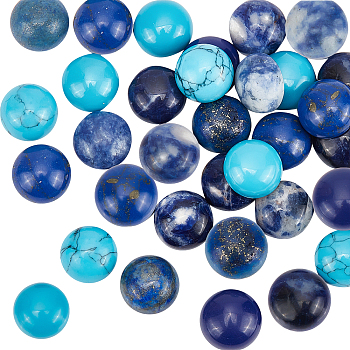 Elite 32Pcs 8 Style Natural & Synthetic Gemstone Cabochons, Half Round, 10x4~5mm, 4pcs/style