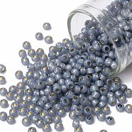 TOHO Round Seed Beads, Japanese Seed Beads, (PF2102) PermaFinish Sapphire Opal Silver Lined, 8/0, 3mm, Hole: 1mm, about 220pcs/10g(X-SEED-TR08-PF2102)