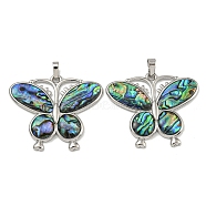 Rack Plating Brass Pave Natural Paua Shell Pendants, Butterfly Charms, Platinum, 35.5x42x3.5mm, Hole: 5X2.5mm(KK-U025-09P-01)