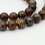 Natural Tiger Iron Bead Strands, 12mm, Hole: 1mm; about 33pcs/strand, 15.7 inches(G-P070-13-12mm)
