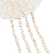 2 Strands 2 Style Grade A Natural Cultured Freshwater Pearl Beads Strands, Polished, Potato, Natural Color, White, 1strand/style(PEAR-NB0001-25)