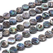 Natural Abalone Shell/Paua Shell Beads Strands, Flat Round, Colorful, 8x3mm, Hole: 0.5mm, about 48pcs/strand, 16 inch(SSHEL-G003-5-8x3mm)