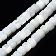 Natural Trochid Shell/Trochus Shell Beads Strands, Bleach, Column, Seashell Color, 6x4mm, Hole: 0.8mm, about 102~103pcs/strand, 15.94 inch(40.5cm)(SSHEL-S266-016A-02)