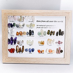 Natural Gemstones Nuggets Collections, Photo Frame Display Decoration, for Earth Science Teaching, Box: 230x183x15mm, Gemstone: 7~12x5~15mm, 72pcs/box(G-F734-07)