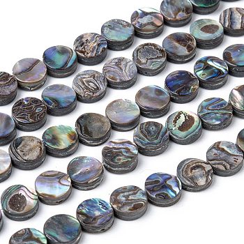 Natural Abalone Shell/Paua Shell Beads Strands, Flat Round, Colorful, 8x3mm, Hole: 0.5mm, about 48pcs/strand, 16 inch