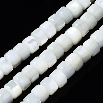 Natural Trochid Shell/Trochus Shell Beads Strands, Bleach, Column, Seashell Color, 6x4mm, Hole: 0.8mm, about 102~103pcs/strand, 15.94 inch(40.5cm)