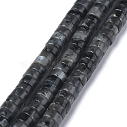Natural Black Larvikite Beads Strands, Heishi Beads, Flat Round/Disc, 6x3mm, Hole: 1mm, about 108~121pcs/strand, 14.76~15.74 inch(37.5~40cm)(G-Z006-C31)