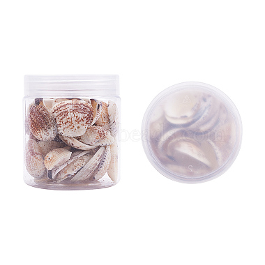 1 caja conchas de almeja concha de almeja teñida de cuentas con agujeros para hacer artesanías 40-50pcs(BSHE-YW0001-01)-2