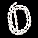galvanisierte Muschelperlenstr&auml;nge(BSHE-C010-02)-2