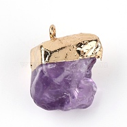 Rough Raw Natural Amethyst Pendants, with Light Gold Alloy Loops, Nuggets, 23~28x20~22.5x14~22mm, Hole: 4x6.5mm(FIND-WH0076-98C)