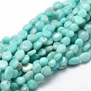 Natural Amazonite Gemstone Nuggets Bead Strands, Tumbled Stone, 9~12x8~13x5~7mm, Hole: 1mm, about 15.3 inch~15.7 inch(X-G-J336-32)