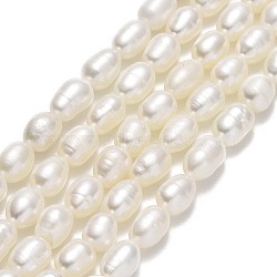 Natural Cultured Freshwater Pearl Beads Strands, Rice, Linen, 6.5~8x4~5mm, Hole: 0.6mm, about 54~56pcs/strand, 14.17''(36cm)(PEAR-J006-13B-01)