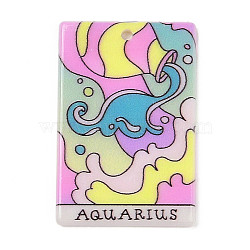 Acrylic Pendants, Constellation Tarot, Aquarius, 38.5x25.5x2mm, Hole: 2mm(MACR-U002-01A-07)