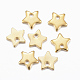 304 Stainless Steel Charms(X-STAS-H557-25G)-2