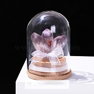 Natural Crystal Cluster Decorations, with Glass & Wood Base for Home Office Desktop Decoration, 52x70~80mm(PW-WG60432-02)