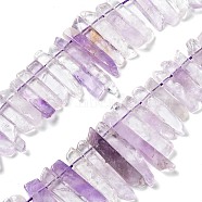 Natural Amethyst Beads Strands, Top Drilled Beads, Rectangle, 24~62x8~14x4~9mm, Hole: 1.8mm, about 34~39pcs/strand, 15.04''~15.51''(38.2~39.4cm)(G-L551B-08B)