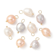 3Pcs 3 Colors Natural Freshwater Pearl Pendants, Potato Charms with Golden Plated Brass Loops, Mixed Color, 16~17x8~9x8~8.5mm, Hole: 2.5~3mm, 1pc/color(PALLOY-JF02153)