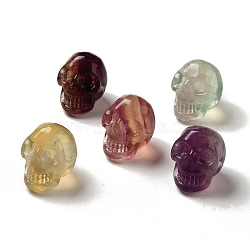 Natural Fluorite Home Display Decorations, Skull, 26x23x24mm(G-M397-02B)